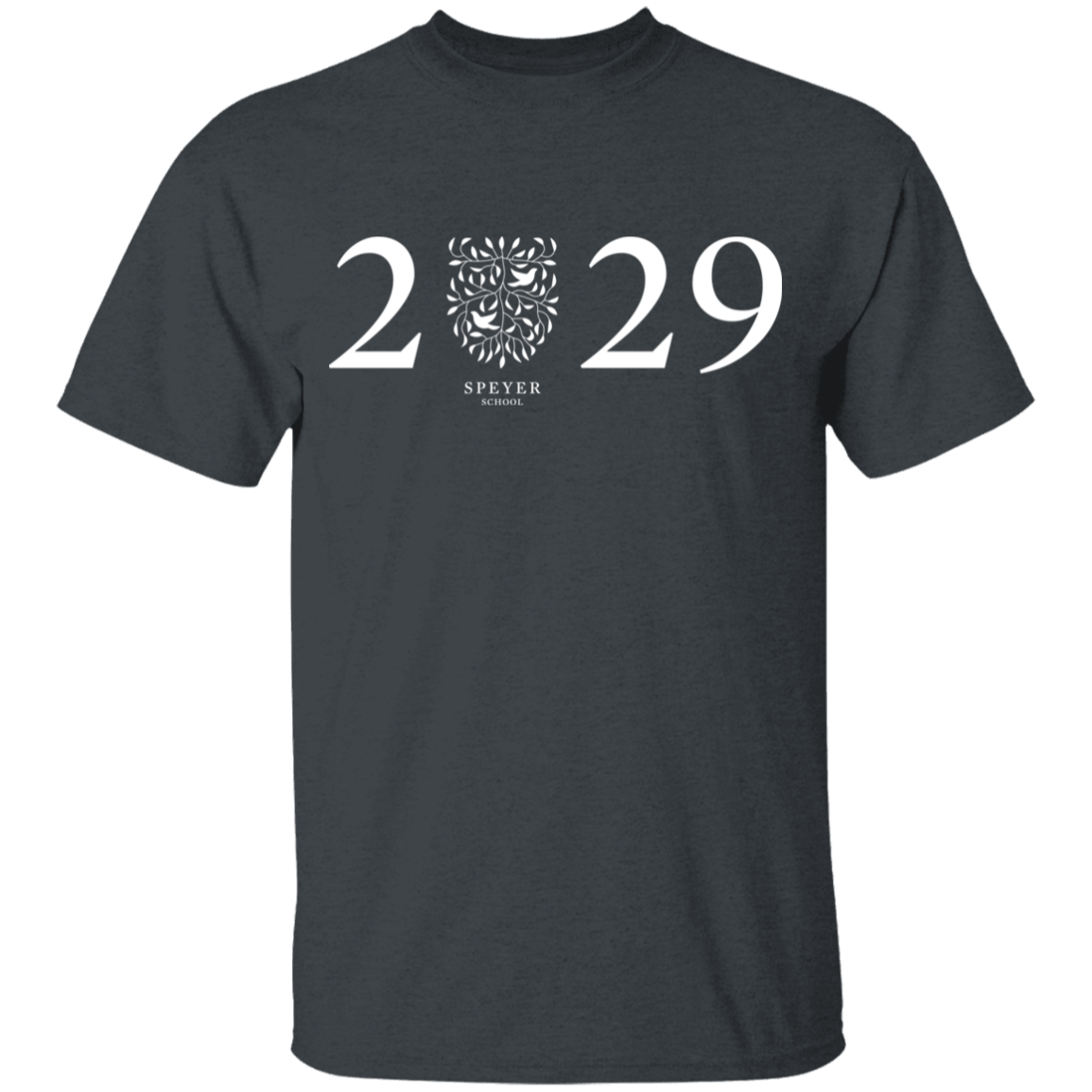 Class of 2029 T-Shirt, Youth Sizes